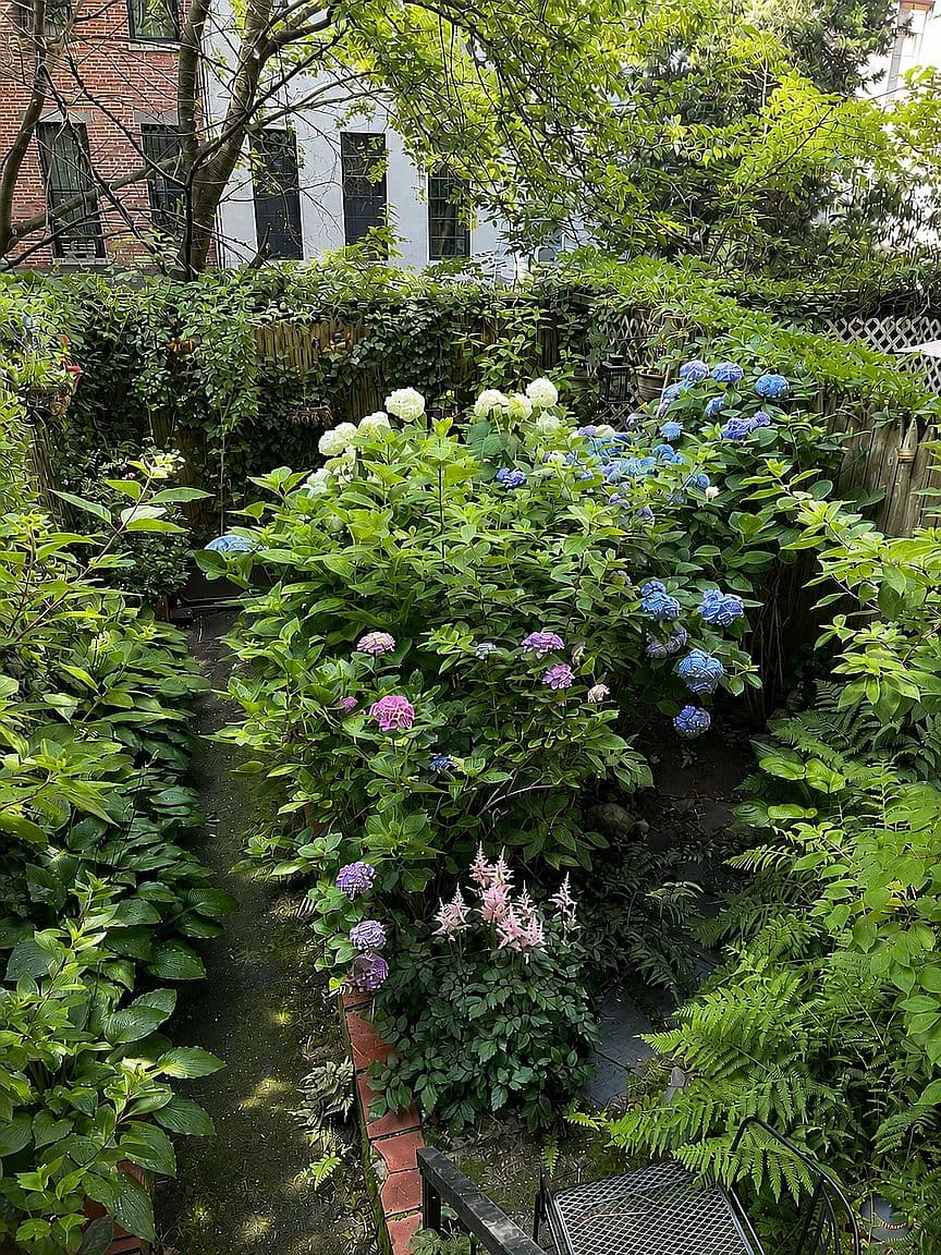 Upper East Side One-Bedroom Apartment with Private Garden and Renovated Kitchen